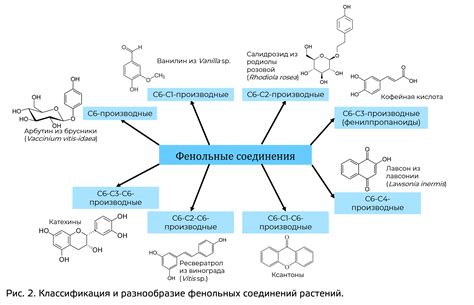 Лабораторные методы соединения эфиров с органическими фторсодержащими соединениями