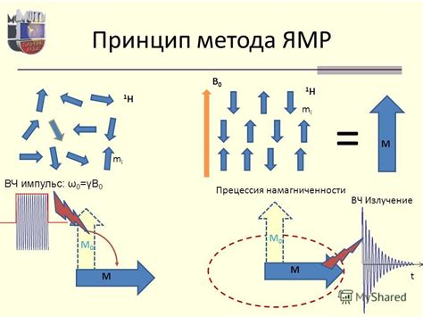 Магнитный резонанс и атомное рассеяние: основные отличия в химических исследованиях