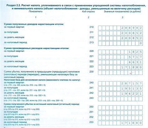 Максимизация выгоды от использования неполученных доходов при заполнении налоговой декларации