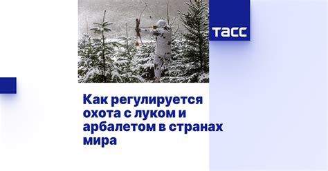 Мастерство обращения с луком-арбалетом: тайны и хитрости