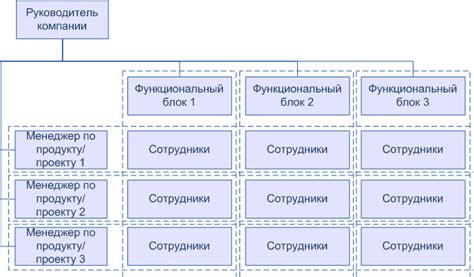 Матричная модель управления в организации: эффективность и гибкость работы