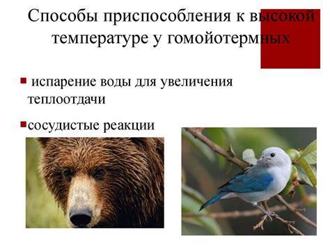 Меры приспособления к высокой температуре и уменьшение воздействия на окружающую среду