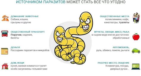 Меры профилактики заражения паразитами в организме