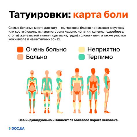 Места для татуировки и внедрения микрочипа у вашего питомца