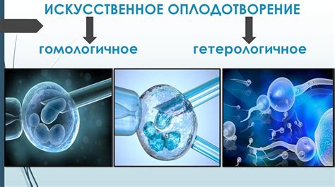 Методы, применяемые в создании искусственного оплодотворения