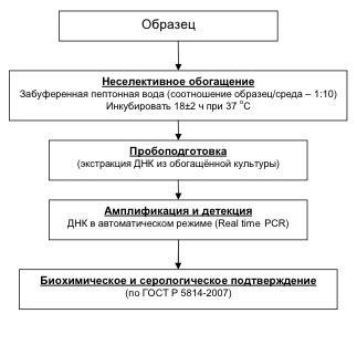 Методы выявления тягуна с использованием специализированных инструментов