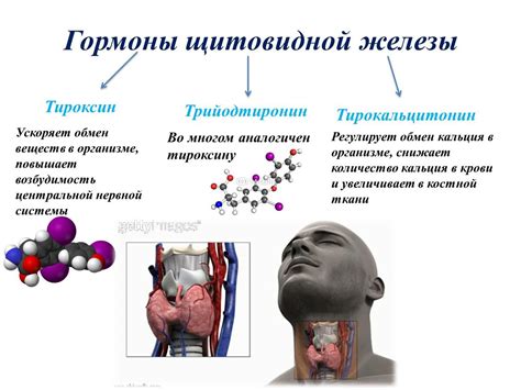 Методы диагностики сниженного уровня гормона щитовидной железы