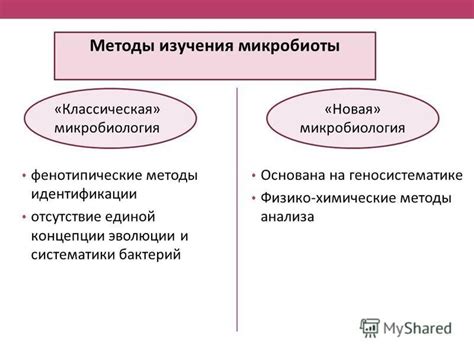 Методы идентификации микроорганизмов, населяющих транзиторное пространство организма