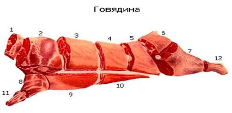 Методы отделения мяса от костей при разделке угря