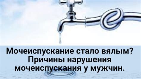 Методы предотвращения повышенной частоты мочеиспускания у мужчин