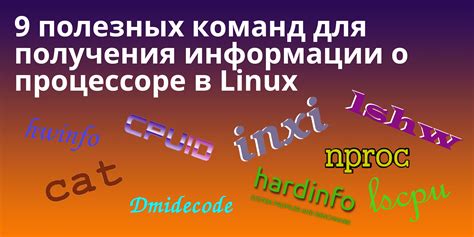 Метод 4: Применение кодовых команд для получения информации о использовании трафика