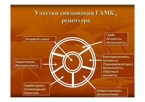 Механизмы функционирования мозга при формировании желаний