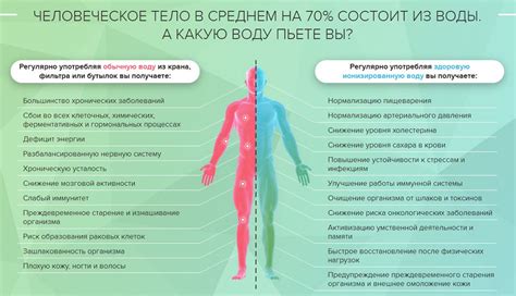 Механизм воздействия перекиси водорода на организм
