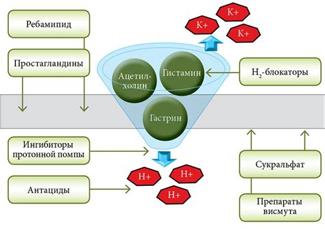 Механизм действия активированного угля при нарушениях желудочно-кишечного тракта