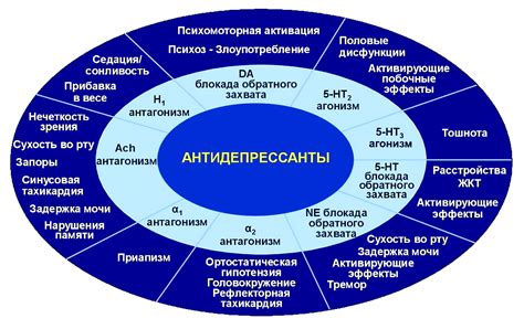 Механизм действия и эффекты антидепрессантов