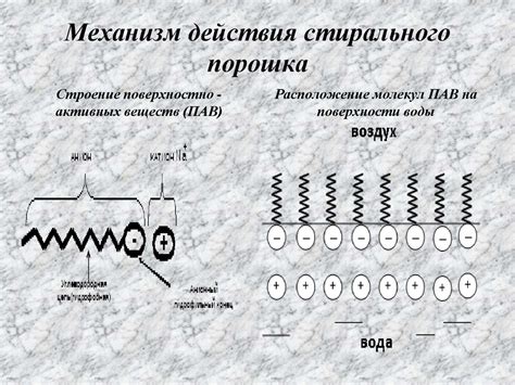 Механизм действия нимесилового порошка на организм