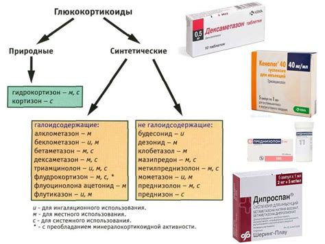 Механизм действия препаратов: понимание и сравнение