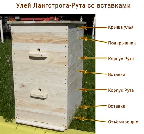 Механическое устранение настоящего разрушителя пчелиных домов - восковой моли