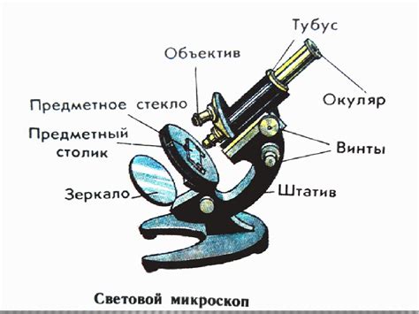 Микроскоп: концепция, устройство и принцип работы