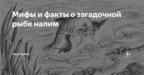 Мифы и факты о загадочной куртизантской прическе