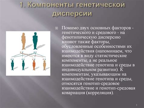 Миф 3: Социальные условия не оказывают влияния на фенотипическую дисперсию