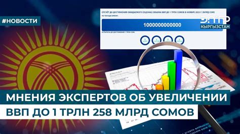 Мнения экспертов об индивидуальном предупреждении преступлений