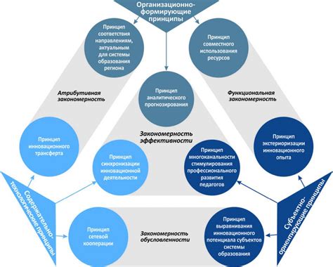 Многообразие принципов функционирования