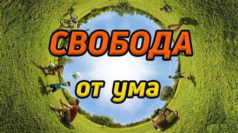 Мобильная свобода: преимущества освобождения от ограничений НСУ