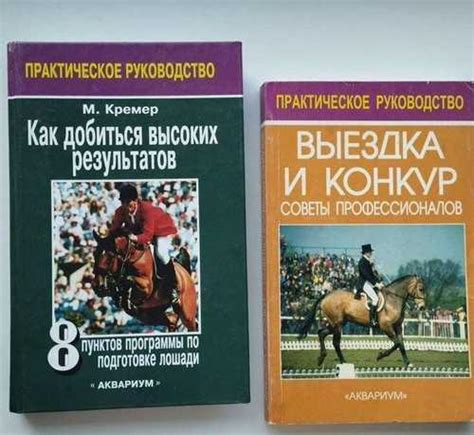 Может ли сон о верховой езде подсказать нам новые пути и решения?