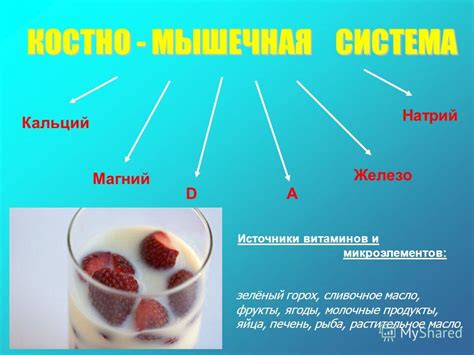 Молочные продукты: источник кальция для молодых птенцов сов
