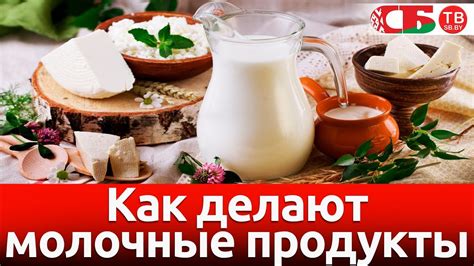 Молочные продукты как замена протеиновым суперпродуктам