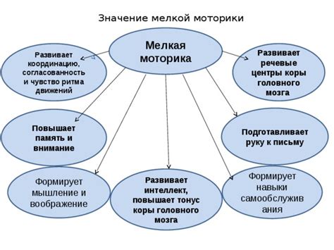 Моторика и согласованность движений: ключевые навыки для развивающегося ребенка