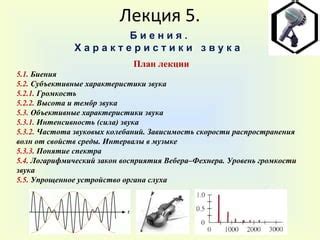 Музыка: история восприятия звуковых колебаний