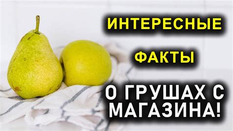 Наваждение или предупреждение: что означает сон о грушах-ползунке?