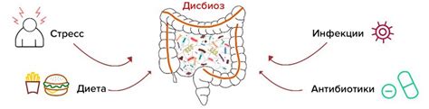 Нарушение баланса микрофлоры кишечника: последствия перекуса жучками в муке