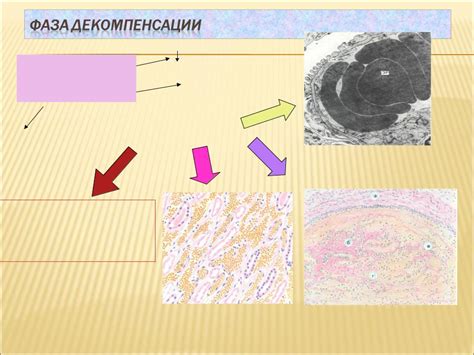 Нарушение гемодинамики в капиллярах эпидермиса