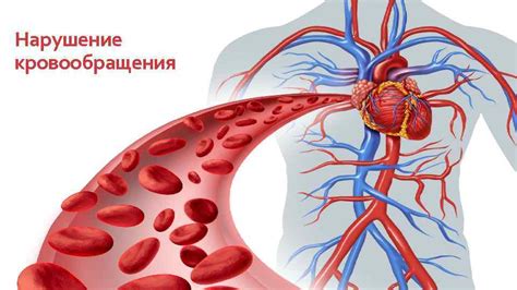 Нарушение кровообращения и медленный обмен веществ