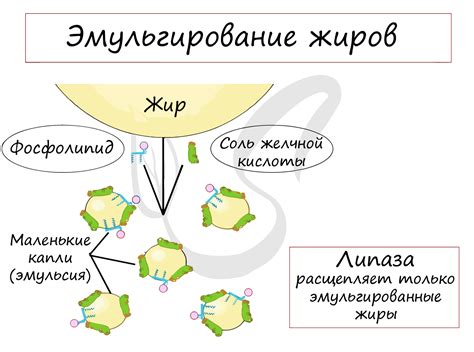 Нарушение процесса образования желчи