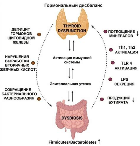 Нарушение функции щитовидной железы и его влияние на организм