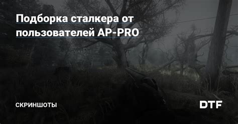 Наслаждение игрой в мире Сталкера с помощью Ap Pro