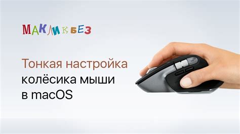 Настройка беспроводной мыши в macOS