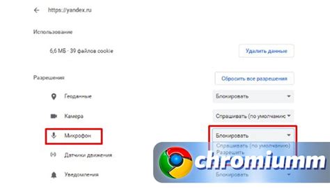 Настройка использования голосовых функций и программ в браузере Хром через микрофон