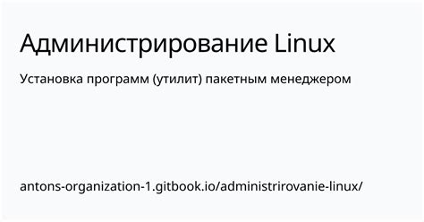 Настройка разработочной среды для работы с пакетным менеджером