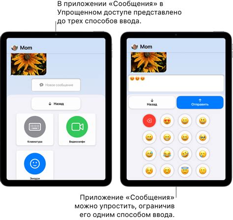 Настройка удобного доступа к эмодзи на устройстве Apple