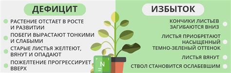 Недостаток питательных веществ для фиалок