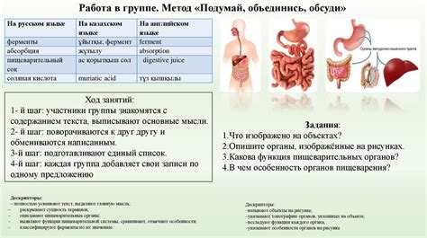 Недостаток пищеварительных ферментов