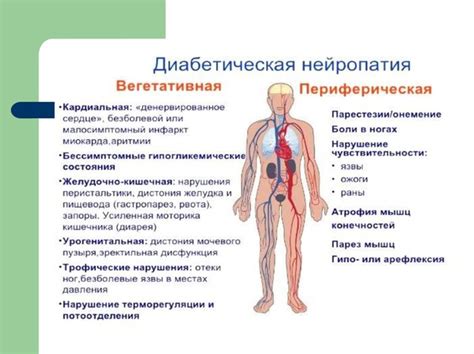 Нейропатия: дегенеративное нарушение нервной системы