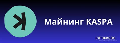 Необходимое оборудование и настройка для успешного подключения камеры в чат-рулетке