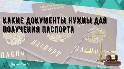 Необходимые документы при оформлении паспорта для кошки перед путешествием