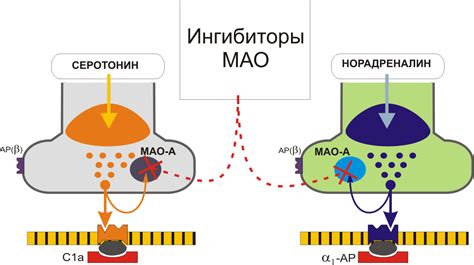 Неселективные ингибиторы МАО